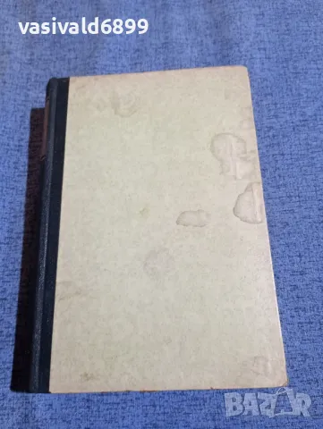 Реймон Есколие - Виктор Юго , снимка 2 - Художествена литература - 48044029