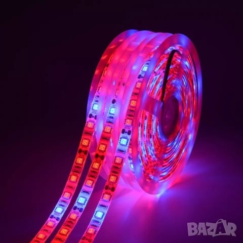 Фито диодна led лента за бърз растеж SMD 5050  12V 60led/m, снимка 2 - Лед осветление - 43690154