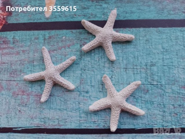 красиви морски звезди от Малайзия, снимка 1 - Декорация за дома - 40782035