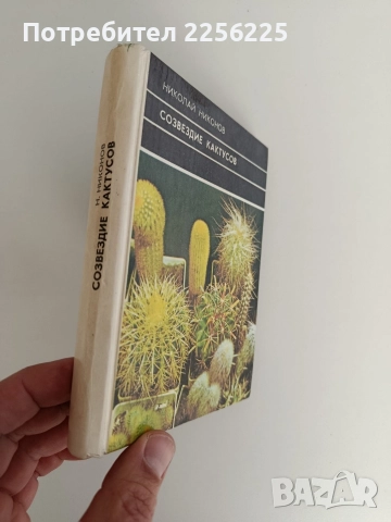 Созвездие кактусов, снимка 6 - Специализирана литература - 52791078