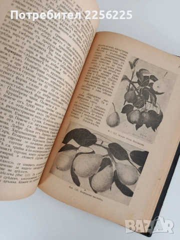 Ръководство по овощарство, снимка 6 - Специализирана литература - 53112978