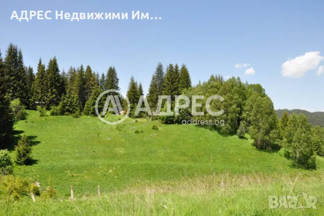 Инвестиционен имот до лифта в с. Стойките , снимка 9 - Парцели - 47345254