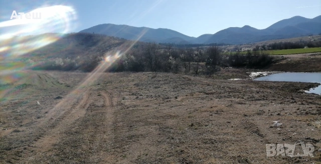 нива земя имот , снимка 7 - Земеделска земя - 53599281