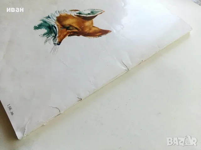 Приключенията на Пинокио - Карло Колоди - 1980г., снимка 11 - Детски книжки - 50222975