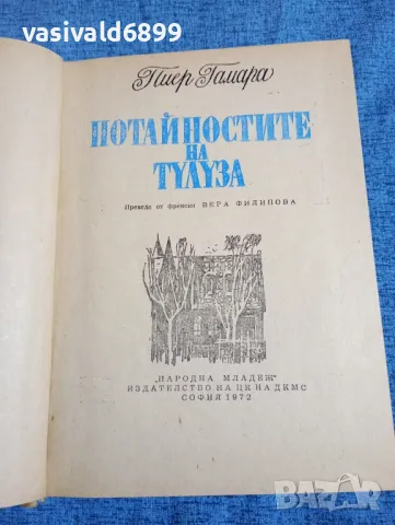 Пиер Гамара - Потайностите на Тулуза 