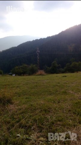 Продавам имот в землището на с.Момчиловци с квадратура 2700кв.м, снимка 11 - Земеделска земя - 37686757