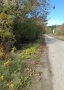 Парцел в регулация с Долни Романци , снимка 2