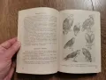 Наръчник на ловеца и риболовеца-Земиздат 1974г., снимка 13