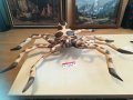 ОГРОМЕН ДЪРВЕН РАК С 8 КРАКА 90Х70СМ 1404211815, снимка 11