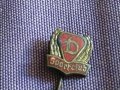 Dynamo Sports Club DDR East German STASI Vintage футболна значка емайл, снимка 5
