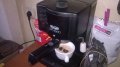 delonghi-внос швеицария-15bar, снимка 2