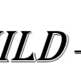 Бригади груб строеж