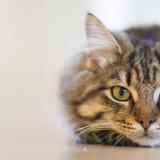 Технически ръководител на строителен обект за обл. Бургас.