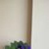 търся почасова работа в района на кв.Надежда,Връбница,Свобода 