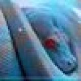 офис работа 