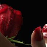 Ремонт - вътрешен и външен