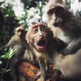 Работничка за къща за гости